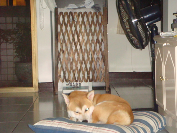 DSC04650.JPG DSC04650.JPG