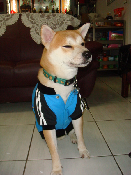DSC04672.JPG DSC04672.JPG