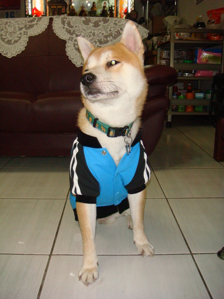 DSC04677.JPG DSC04677.JPG