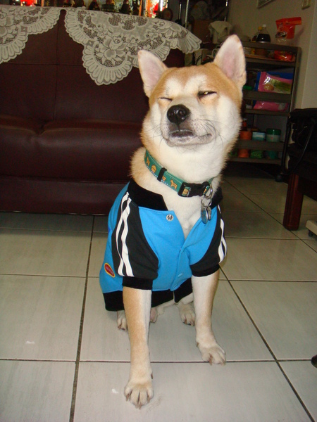 DSC04678.JPG DSC04678.JPG