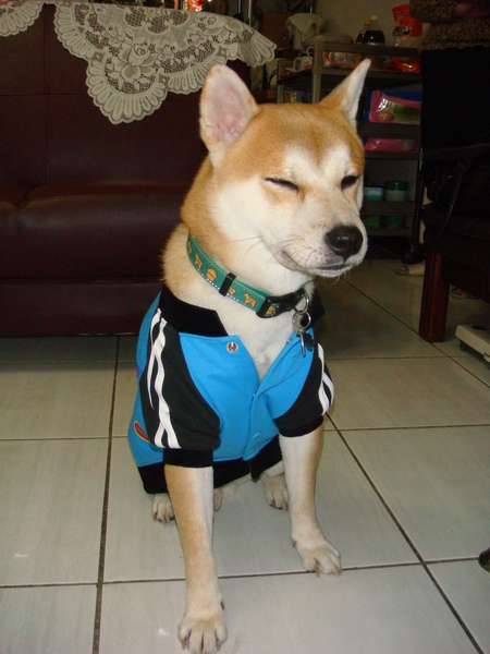DSC04682.JPG DSC04682.JPG
