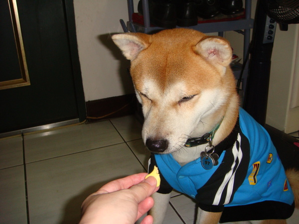 DSC04691.JPG DSC04691.JPG