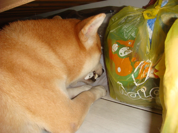 DSC04714.JPG DSC04714.JPG