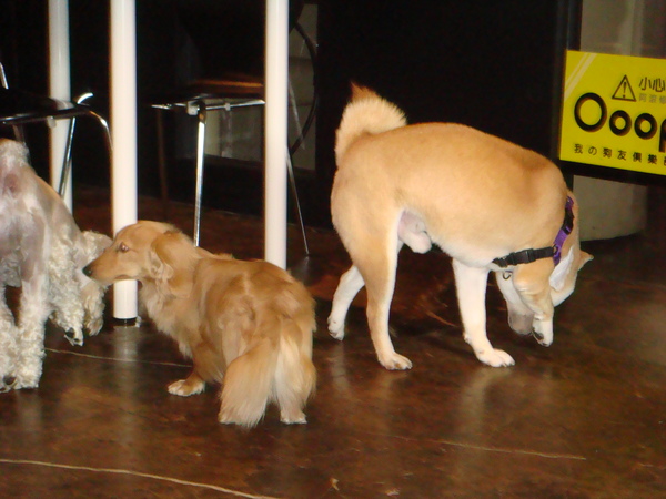DSC04846.JPG DSC04846.JPG