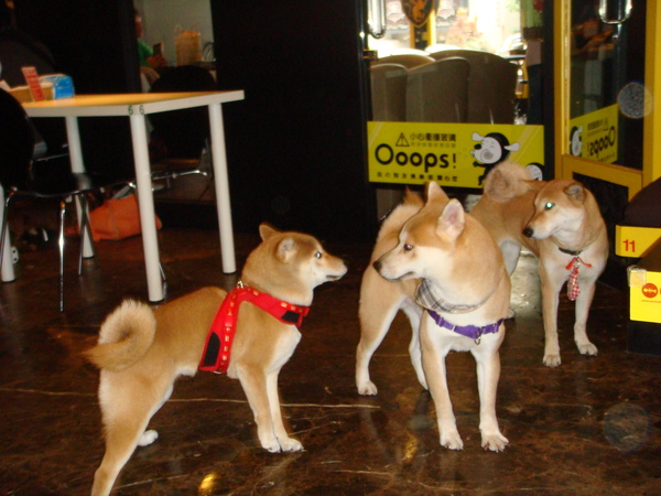 DSC04850.JPG DSC04850.JPG
