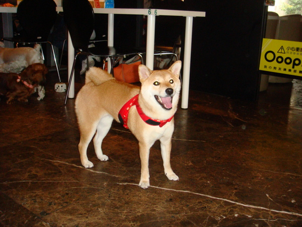 DSC04853.JPG DSC04853.JPG