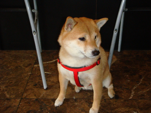 DSC04855.JPG DSC04855.JPG