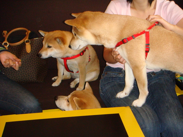 DSC04865.JPG DSC04865.JPG
