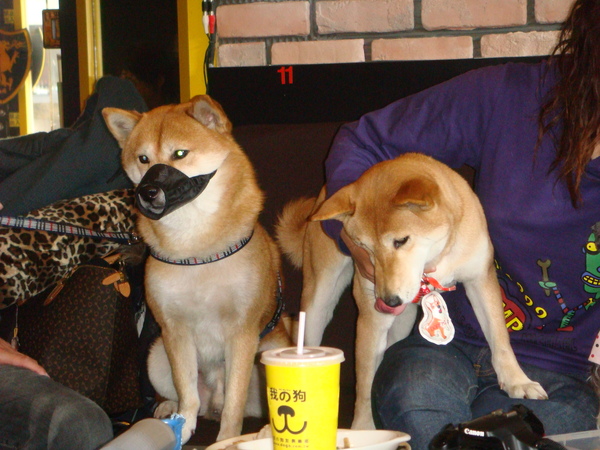 DSC04874.JPG DSC04874.JPG