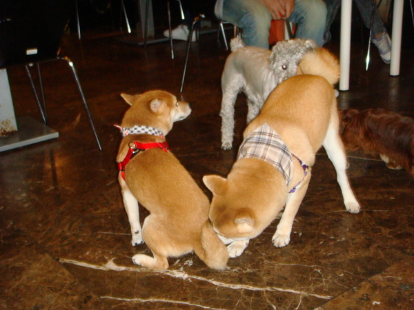 DSC04885.JPG DSC04885.JPG