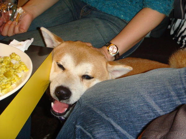 DSC04888.JPG DSC04888.JPG
