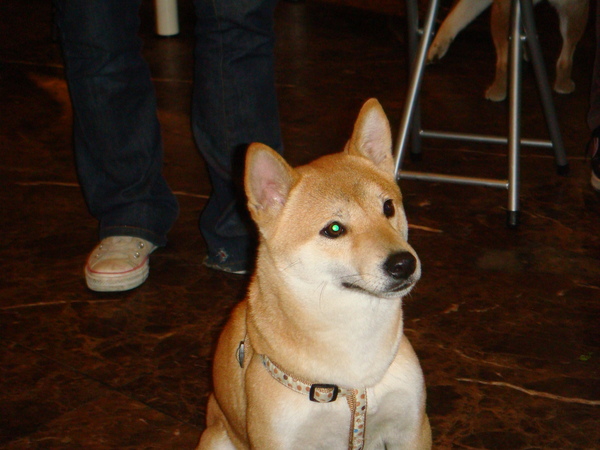 DSC04906.JPG DSC04906.JPG