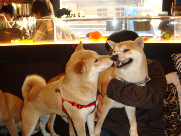 DSC04943.JPG DSC04943.JPG