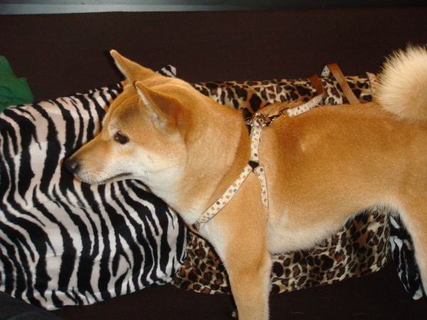 DSC04884.JPG DSC04884.JPG