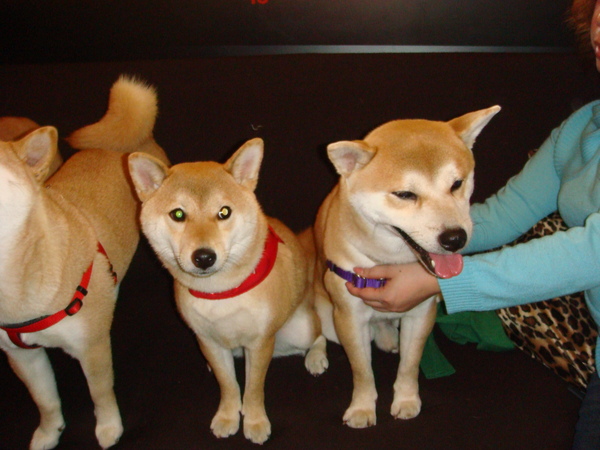 DSC04948.JPG DSC04948.JPG