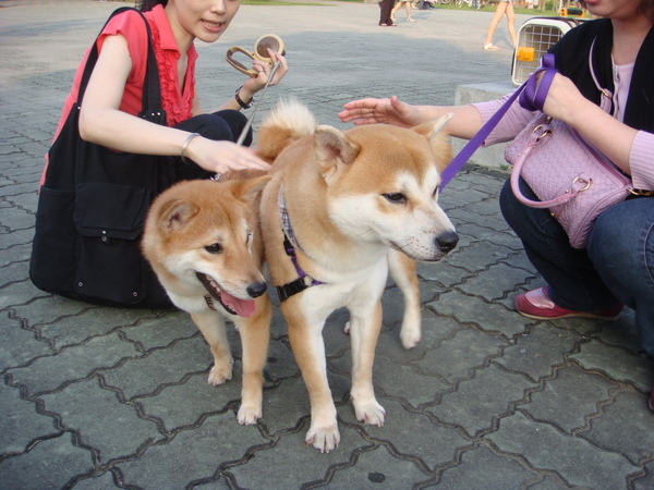 DSC05524.JPG