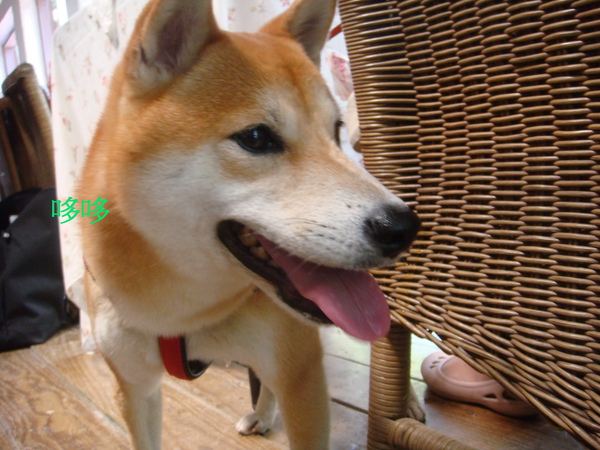 009.jpg 009.jpg