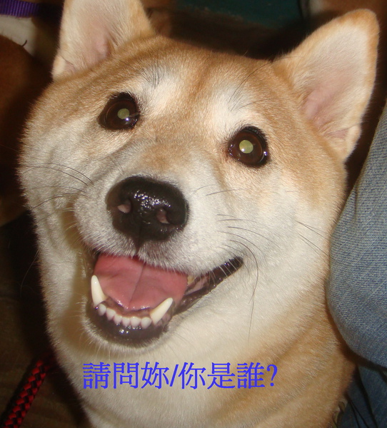 012.jpg 012.jpg