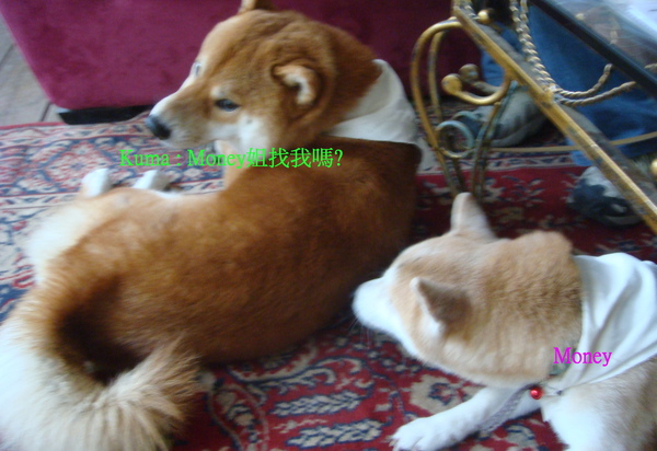 020.jpg 020.jpg