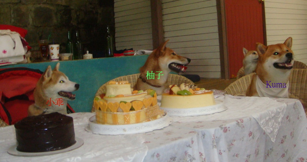 024.jpg 024.jpg
