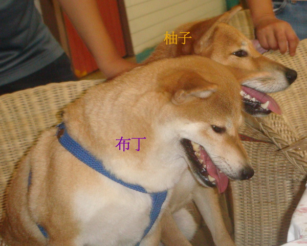025.jpg 025.jpg