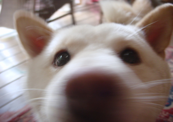 027.jpg 027.jpg
