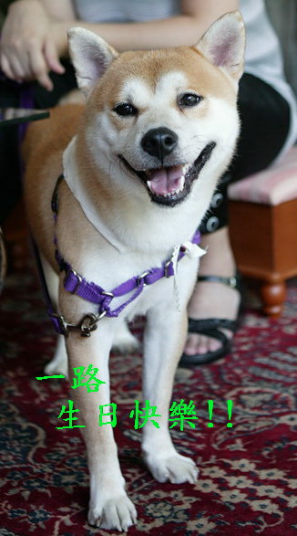 02.jpg 02.jpg