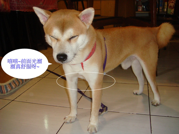 001.jpg 001.jpg