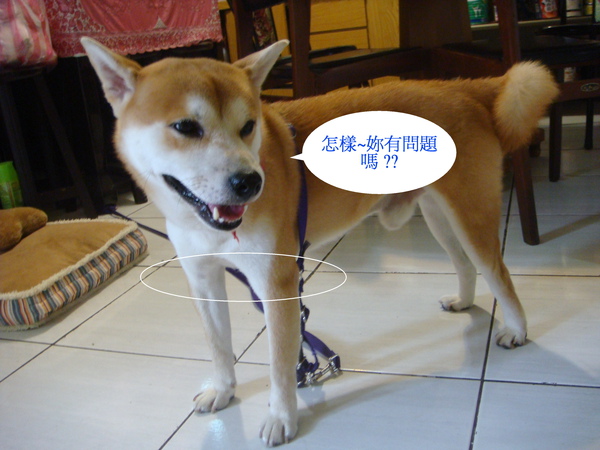 003.jpg 003.jpg