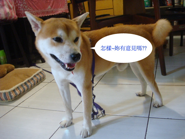 006.jpg 006.jpg