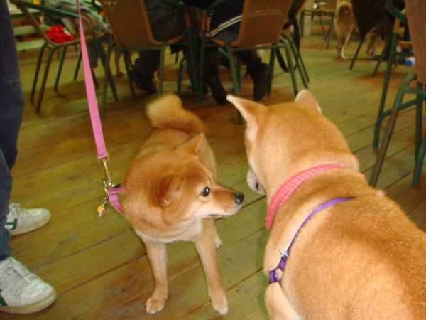 DSC07141.JPG DSC07141.JPG