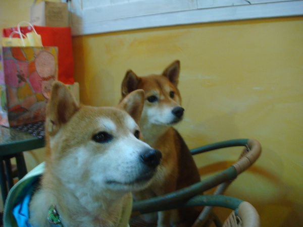 DSC07149.JPG DSC07149.JPG