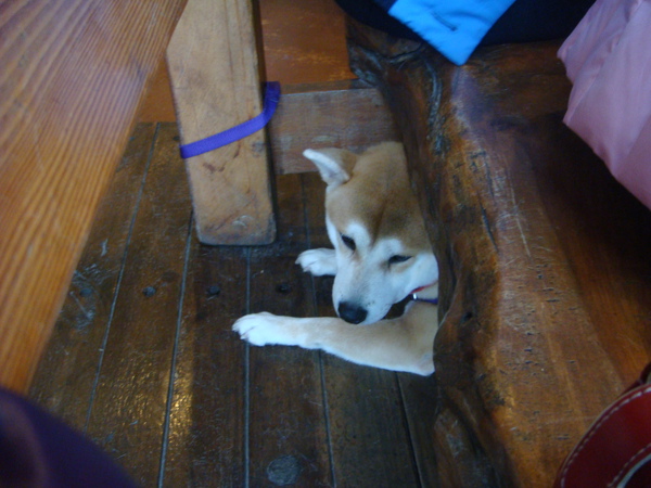 DSC07260.JPG DSC07260.JPG