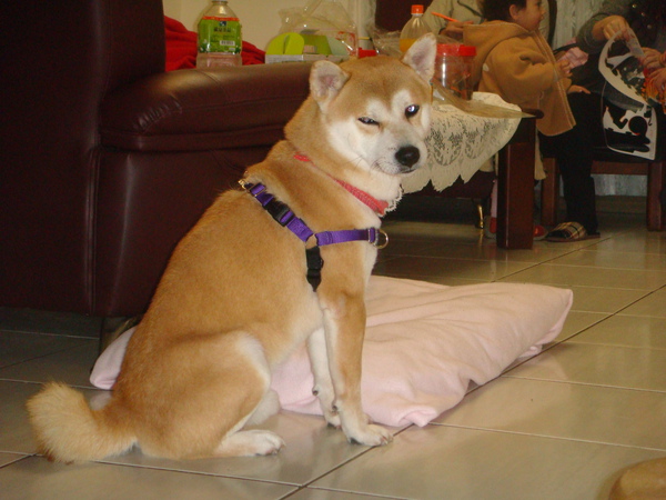 DSC07278.JPG DSC07278.JPG