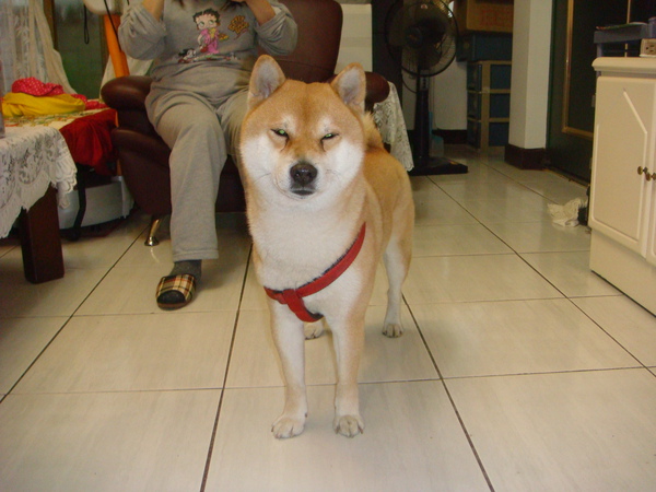 DSC07294.JPG DSC07294.JPG