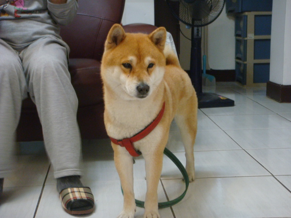 DSC07295.JPG DSC07295.JPG
