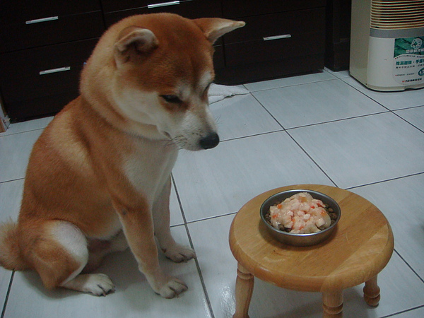 DSC08187.JPG DSC08187.JPG