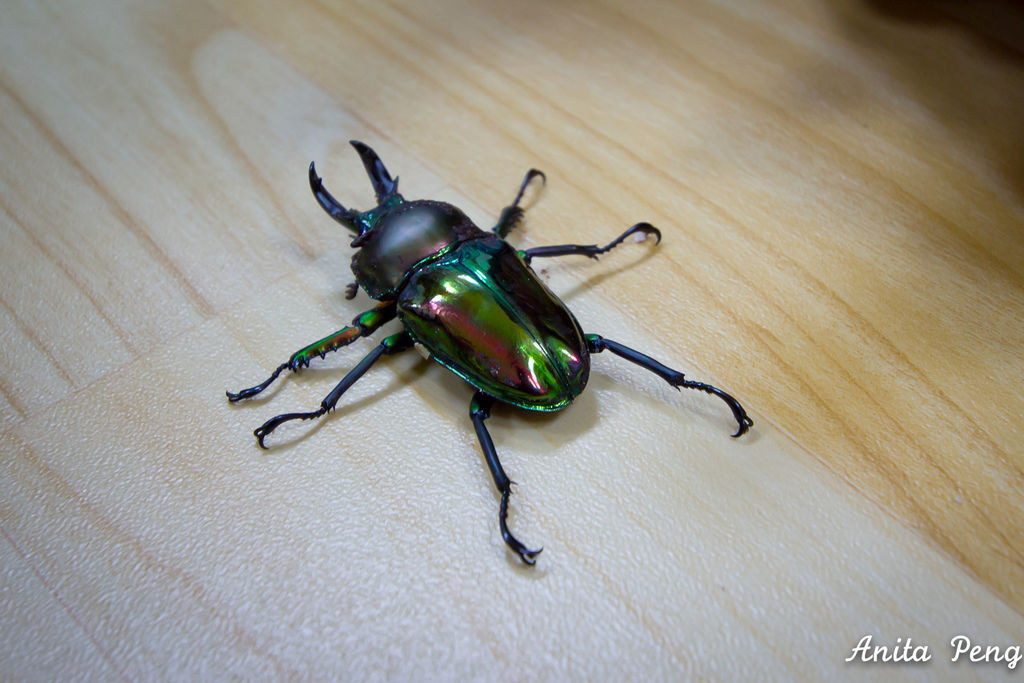 IMG_2147.jpg IMG_2147.jpg