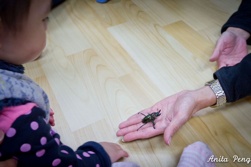 IMG_2148.jpg IMG_2148.jpg