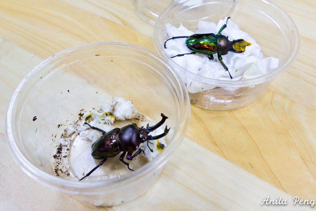 IMG_2149.jpg IMG_2149.jpg