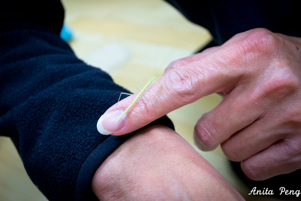 IMG_2151.jpg IMG_2151.jpg