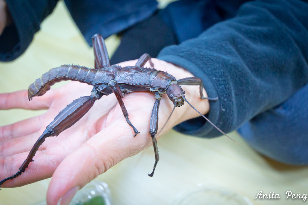 IMG_2158.jpg IMG_2158.jpg