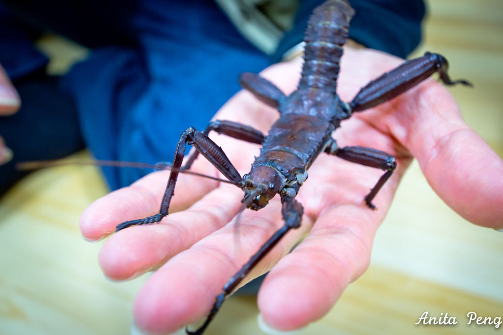 IMG_2160.jpg IMG_2160.jpg