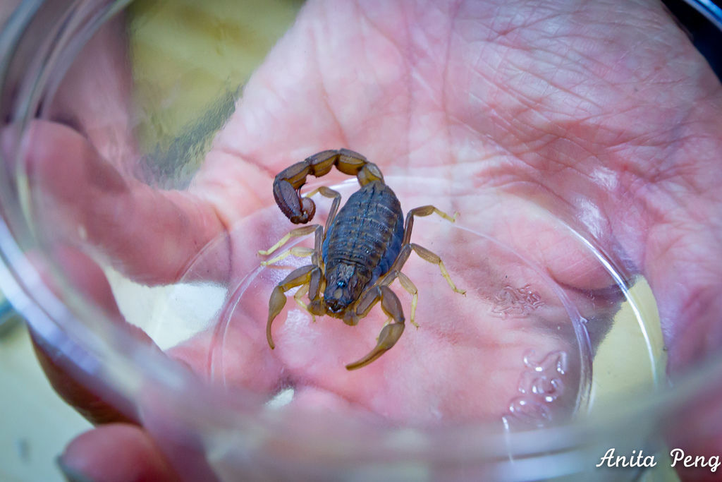 IMG_2165.jpg IMG_2165.jpg