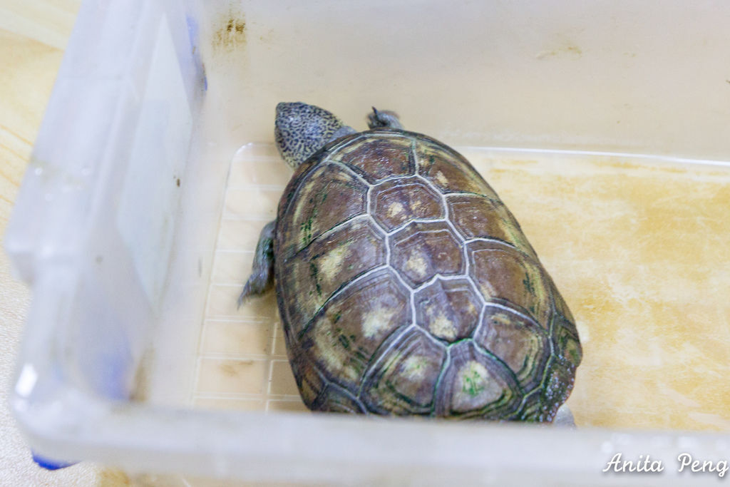 IMG_2167.jpg IMG_2167.jpg