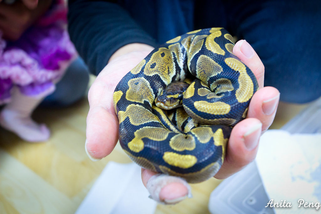 IMG_2170.jpg IMG_2170.jpg