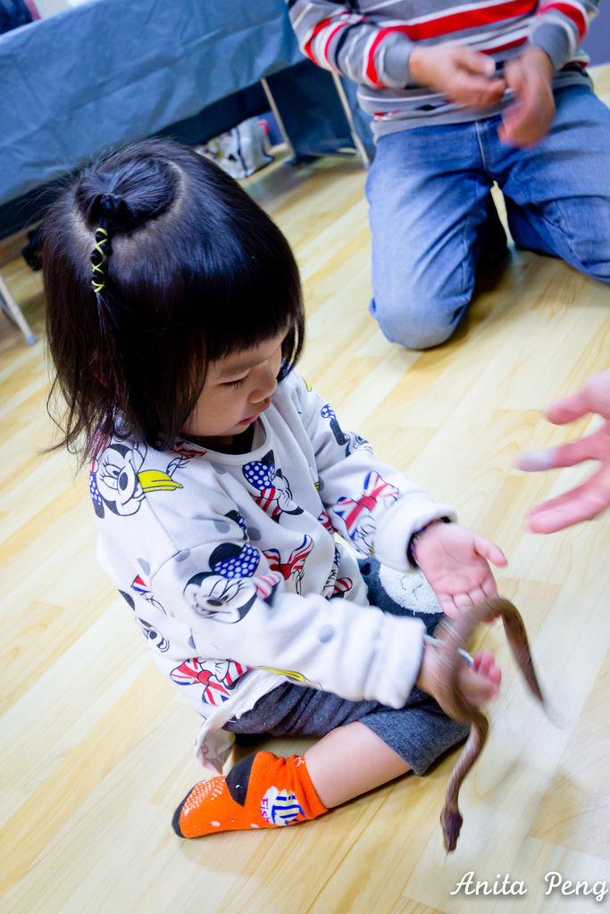 IMG_2182.jpg IMG_2182.jpg