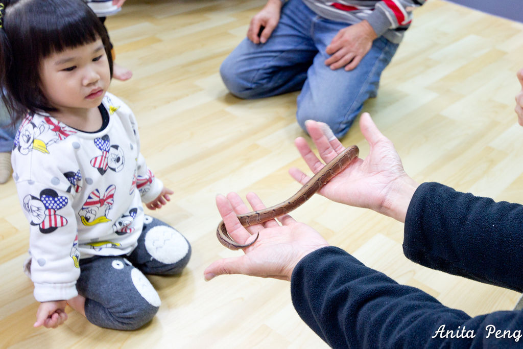 IMG_2183.jpg IMG_2183.jpg