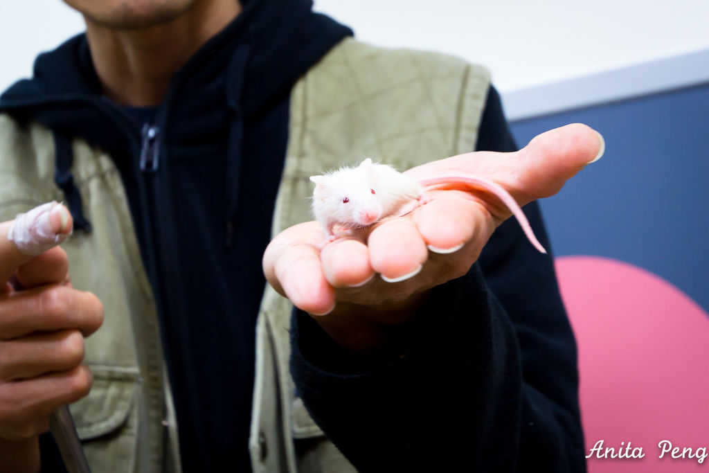 IMG_2194.jpg IMG_2194.jpg