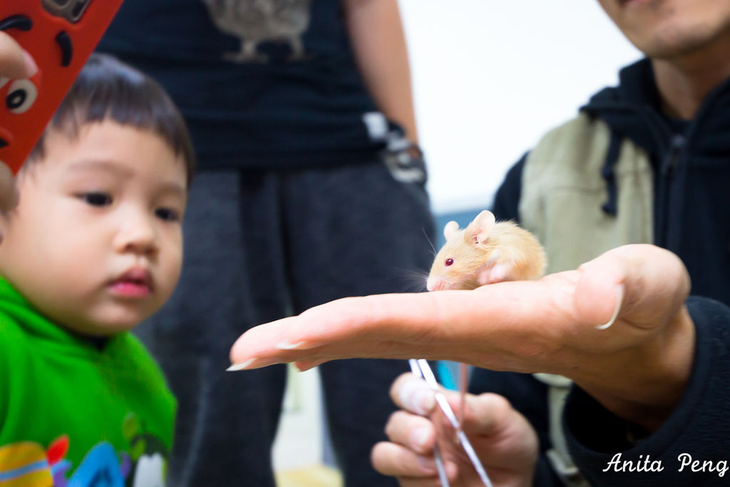 IMG_2208.jpg IMG_2208.jpg